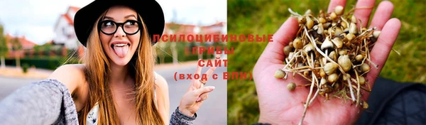таблы Козловка