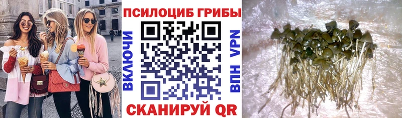 Галлюциногенные грибы MAGIC MUSHROOMS  Владикавказ 