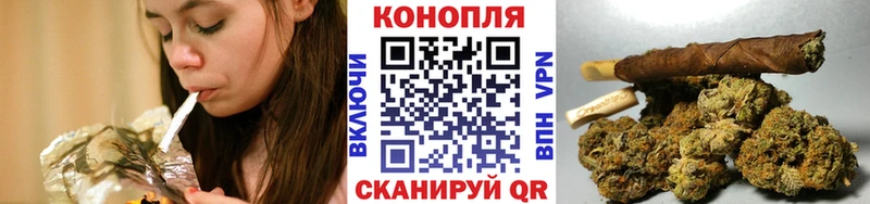 Бошки марихуана план  Владикавказ 