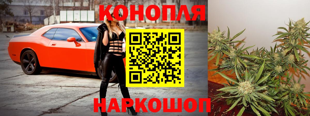 Марихуана сатива  Марихуана гибрид  Владикавказ  Конопля White Widow 